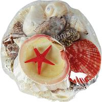 135286 ΚΑΛΑΘΙ ΟΣΤΡΑΚΟ MUSHROOM